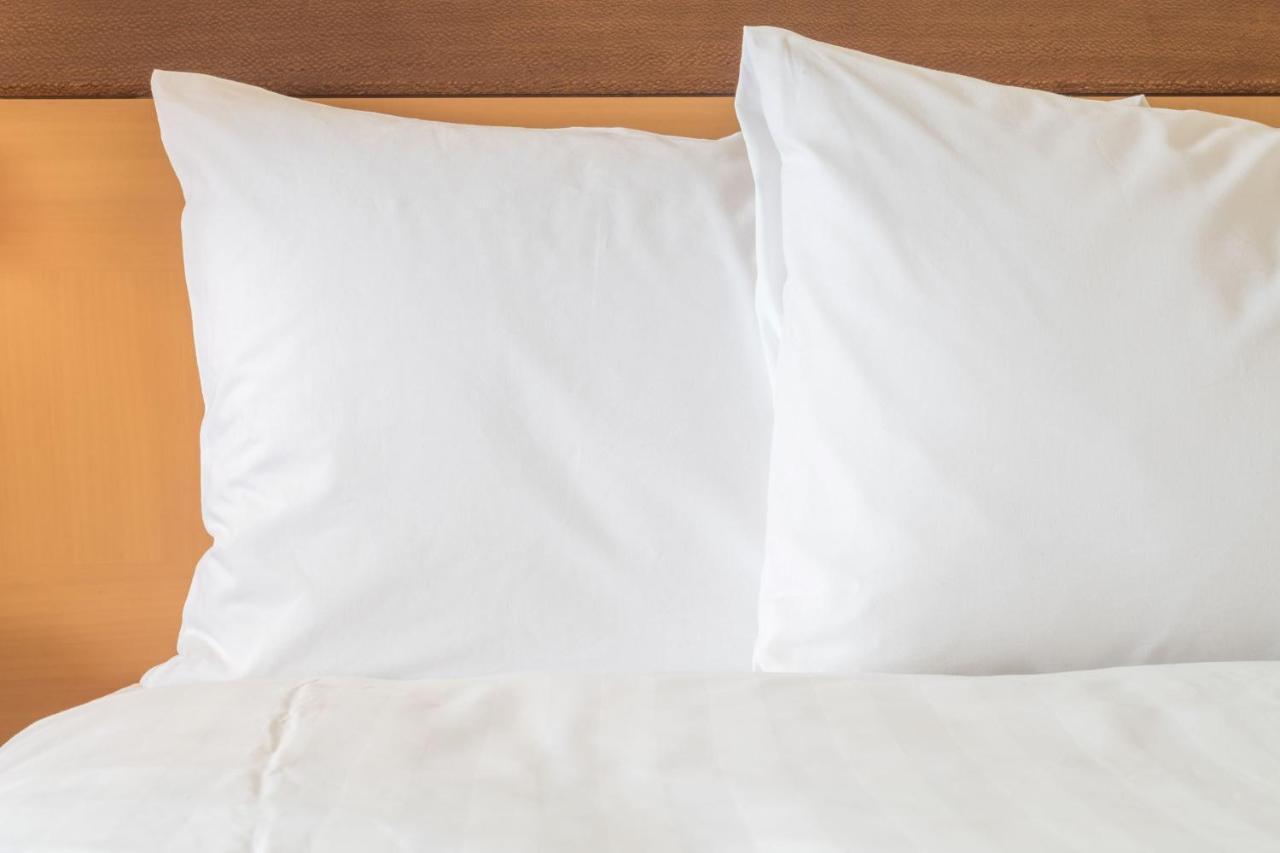 Ana Holiday Inn Sapporo Susukino By Ihg Εξωτερικό φωτογραφία